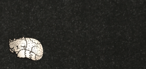 Grabstein Rechteck aus Granit mit silberner Acryl Katze ca. 30cm x 15cm und 2cm dick 