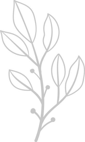 Blume_13