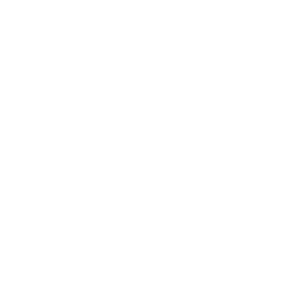 Blume_27