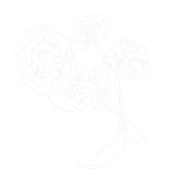 Blume_36