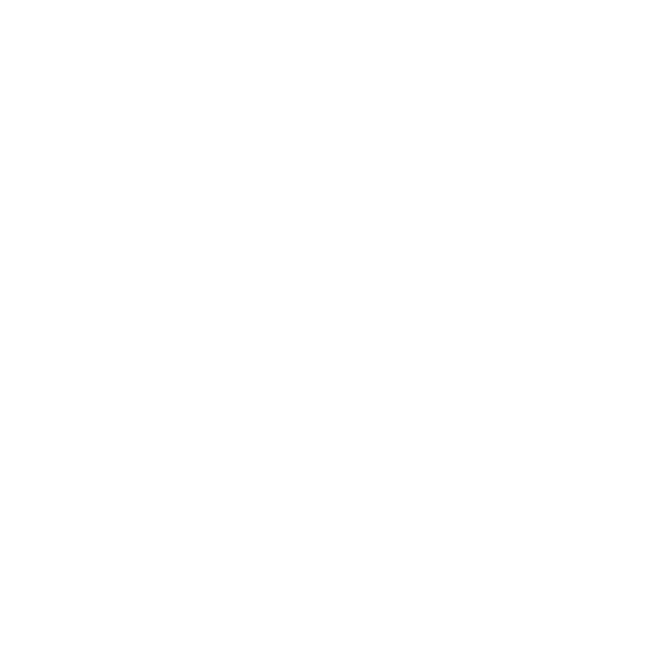 Border Collie_01