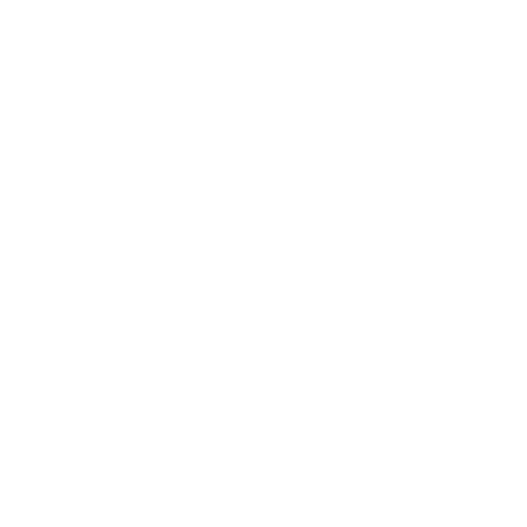 Border Collie_02