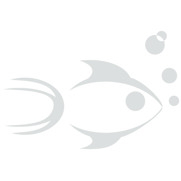 fisch_01