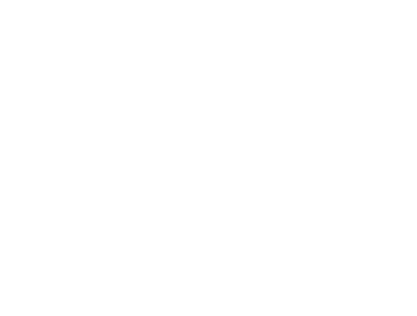 Herz_08