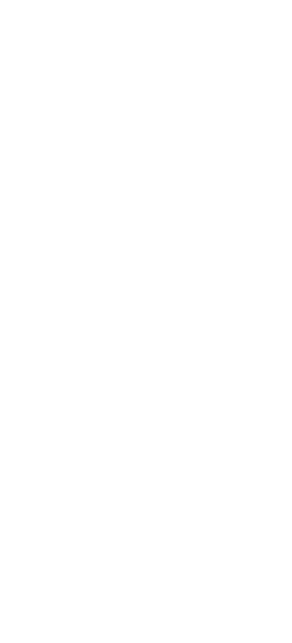 Herz_09