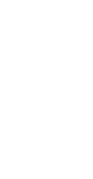 Herz_20