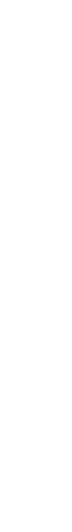 Herz_21