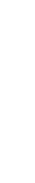 Herz_27