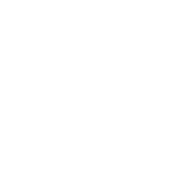 Katze_10