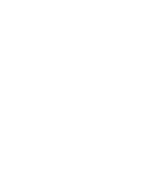 Lagottoromagnolo_01