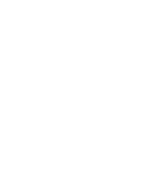 Lagottoromagnolo_02