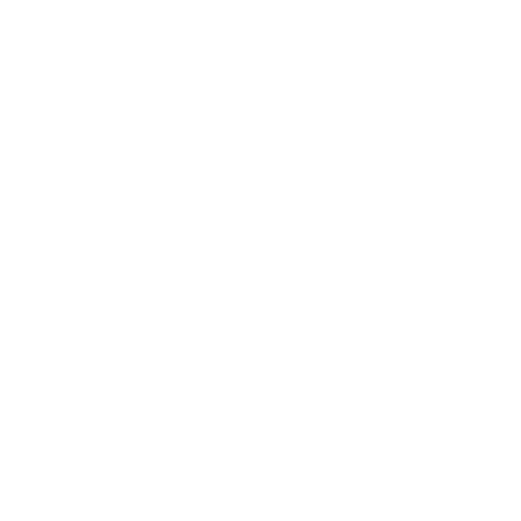 neufundlaender_02