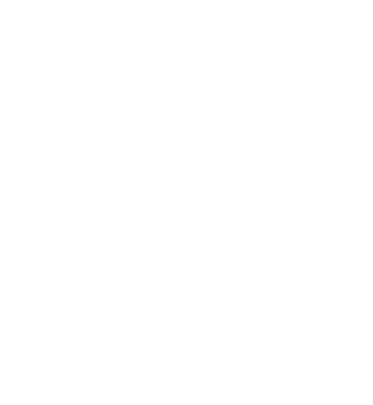 papillon_01