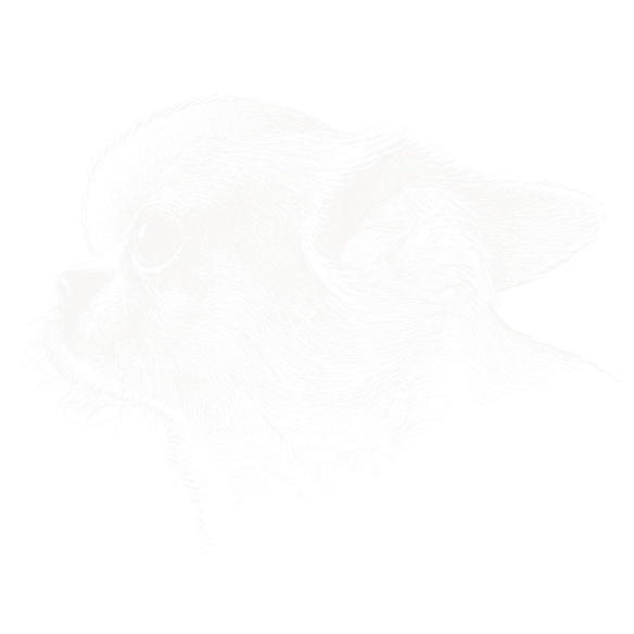 Pekinese_01