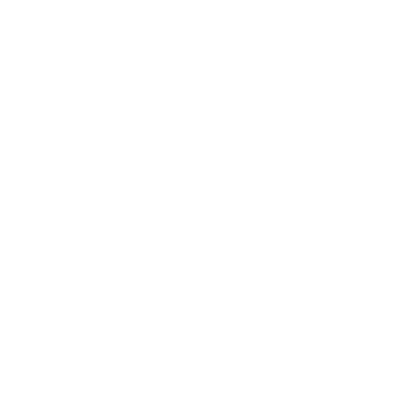 Pudel_01
