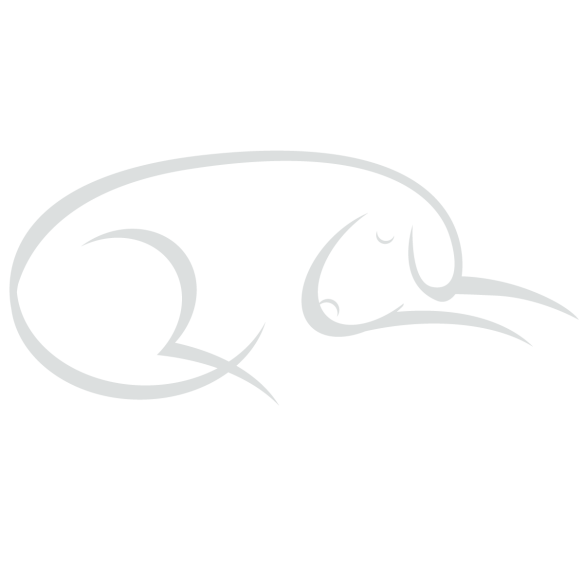 strichgrafik_hund_02