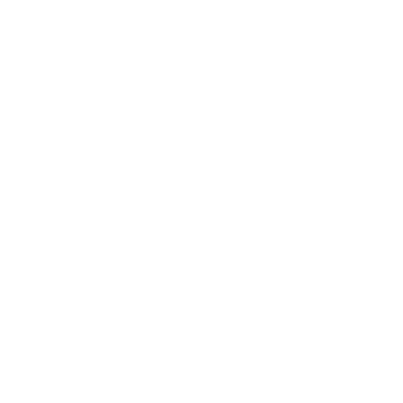 Terrier_01