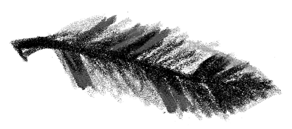 Voegel_09