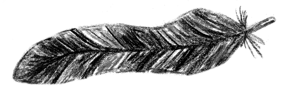 Voegel_10