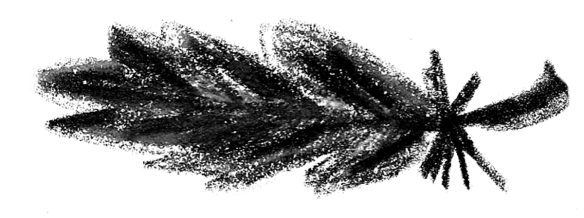 Voegel_11