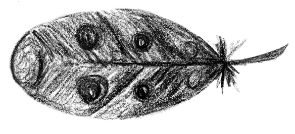 Voegel_12