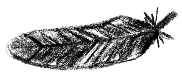 Voegel_13