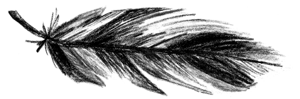 Voegel_14