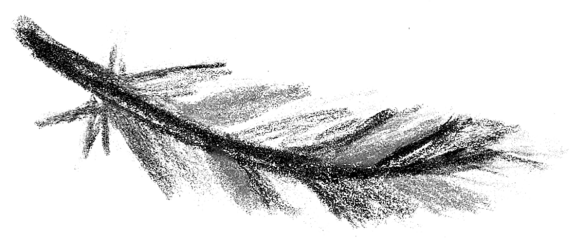 Voegel_16