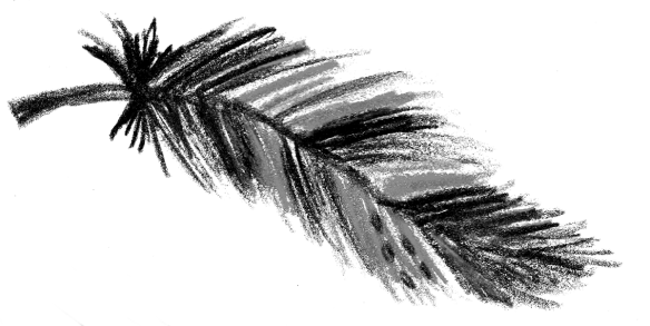 Voegel_19