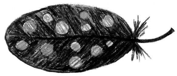 Voegel_20