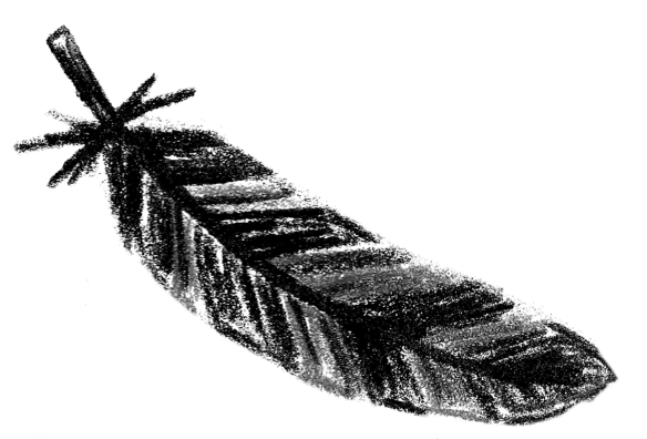Voegel_21