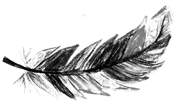 Voegel_22