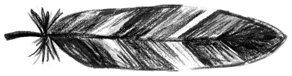 Voegel_24